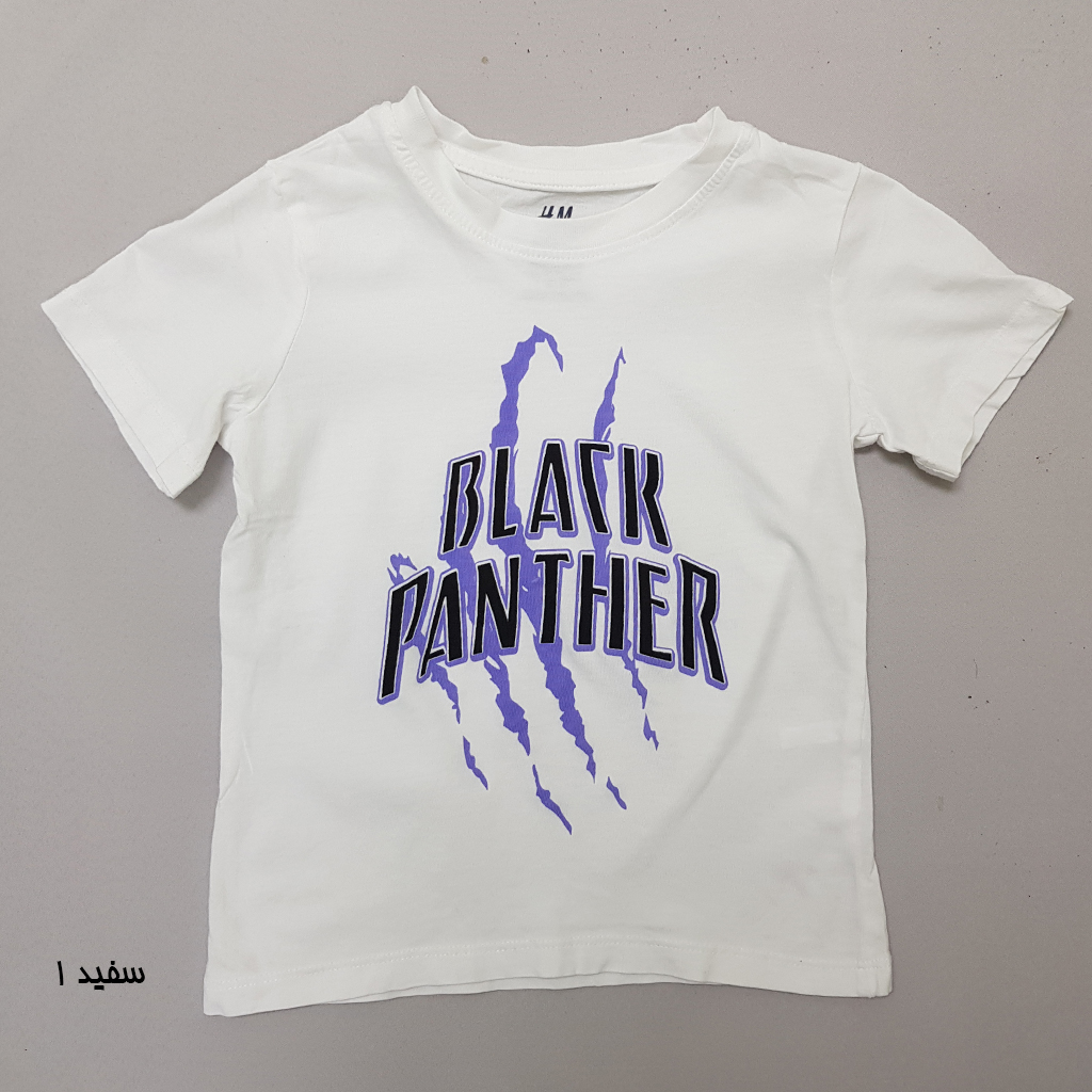 تی شرت پسرانه 23534 سایز 3 تا 12 سال مارک H&M