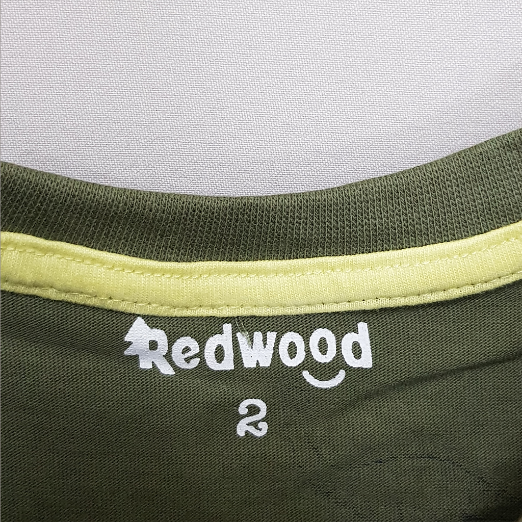 تی شرت پسرانه 27422 سایز 2 تا 10 سال مارک RedWood
