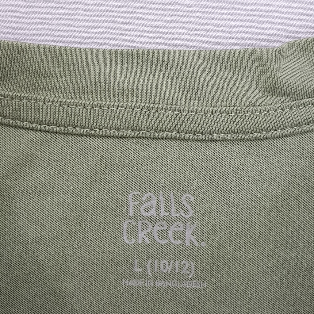 تی شرت پسرانه 27327 سایز 5 تا 16 سال کد 2 مارک Falls Creek